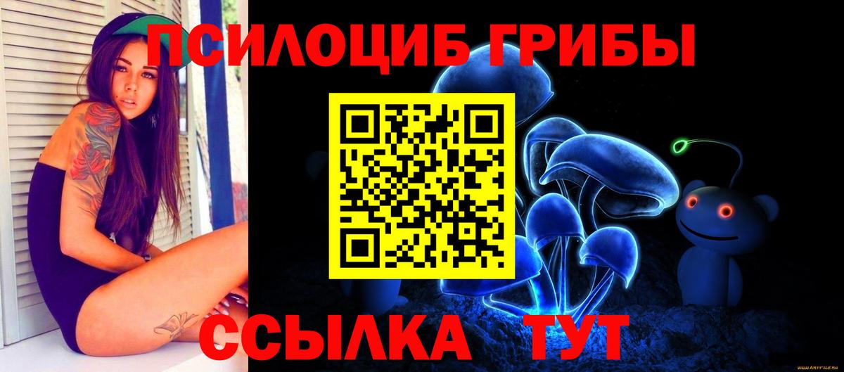 Псилоцибиновые грибы мицелий Топки